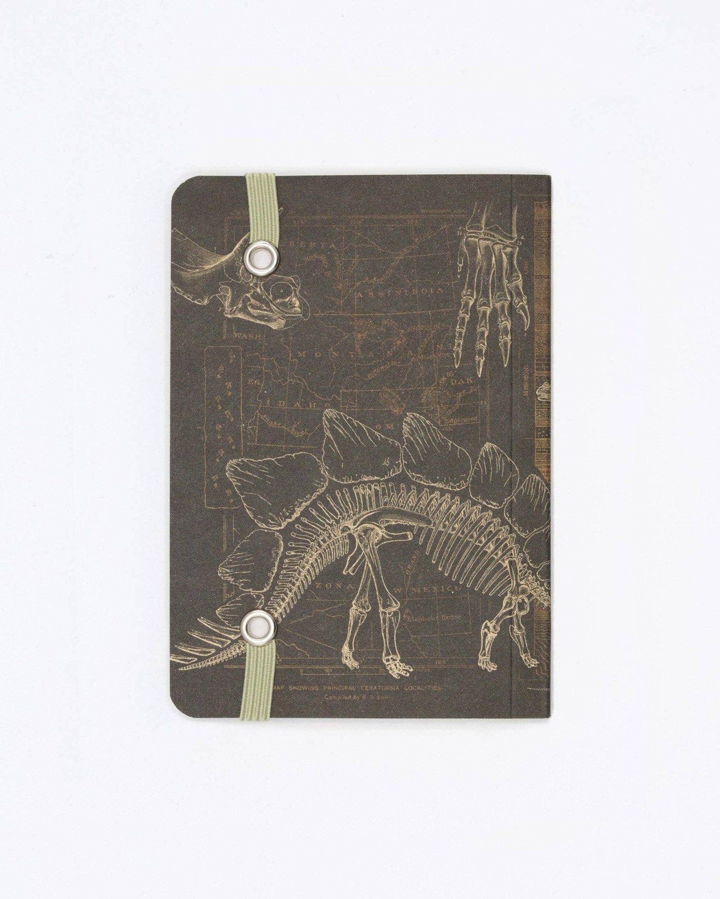 Notebook with dinosaur skeleton design