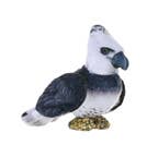 Rainforest Harpy Eagle Stuffed Animal 4.5"