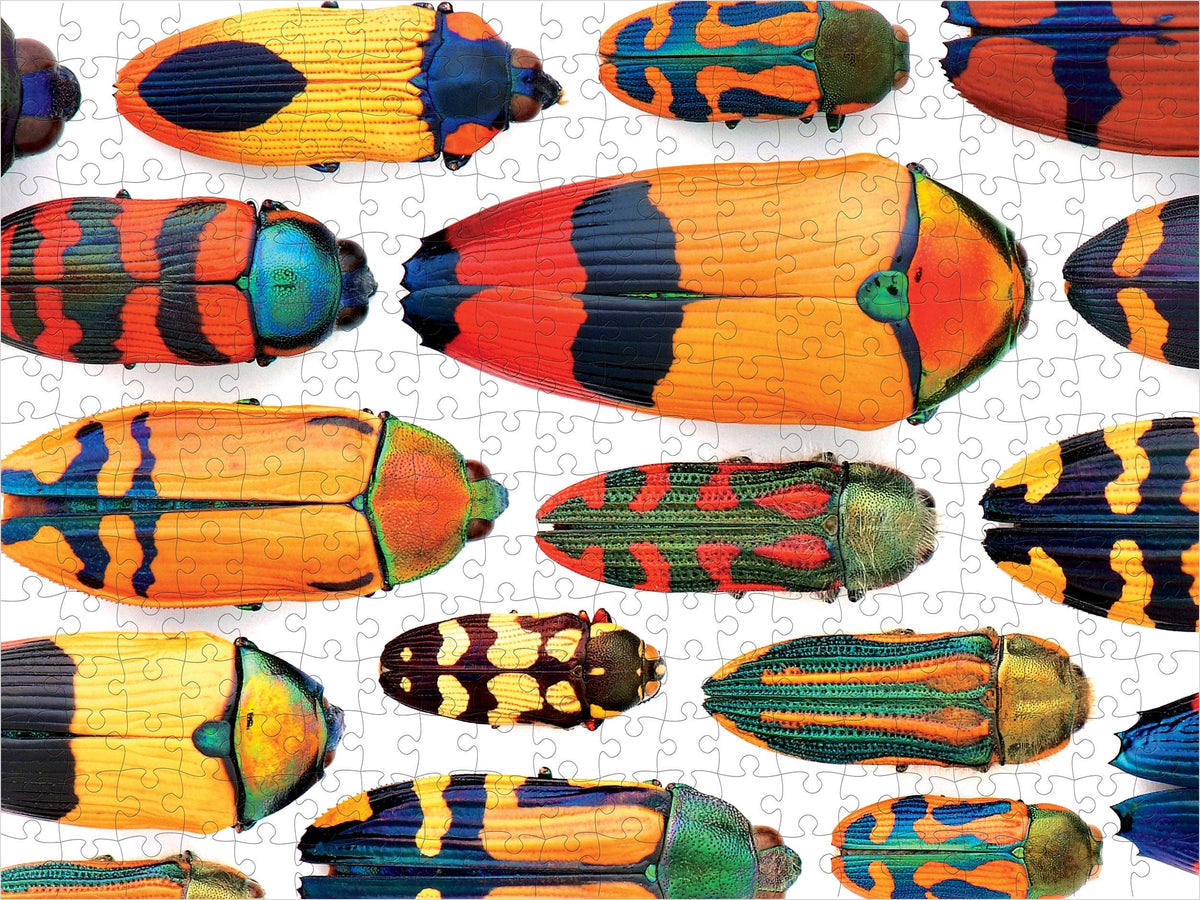 Christopher Marley: Beautiful Beetles 300pc jigsaw puzzle featuring a collection of vibrant, multi-colored metallic wood-boring beetles displayed against a white background.