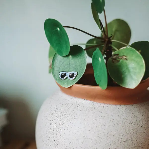 Warhol - Plant Magnet