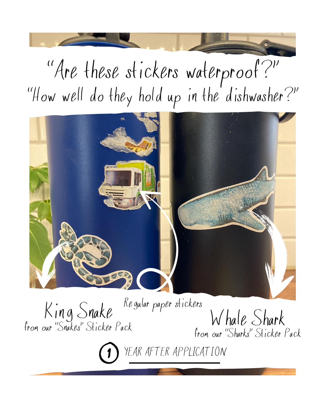 Two tumblers with stickers of a king snake and whale shark, with text about waterproofness and dishwasher durability.
