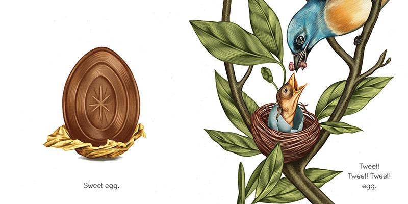 Egg - Kids' Educational Bird Book