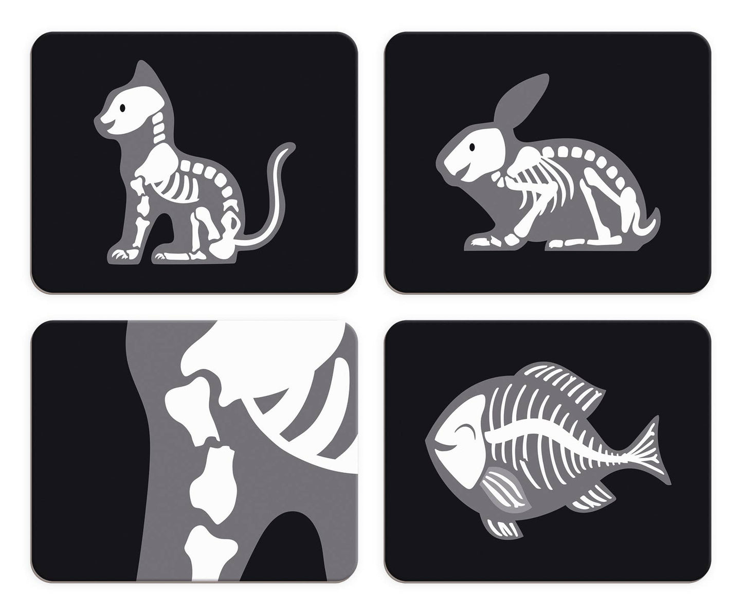 Four simple animal skeleton illustrations (cat, rabbit, bones/ribcage, fish) on black backgrounds—perfect as an imitation toy for the Pretend Play Occupational Toy | Vet set | 15 accessories or any pet care play set.