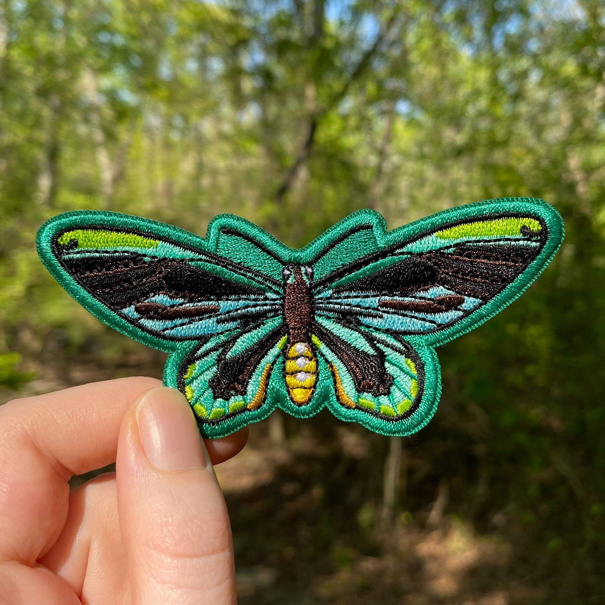 A Queen Alexandra’s Birdwing Butterfly Iron-On Embroidered Patch with black, teal, and lime green wings, held up against a blurred forest background.