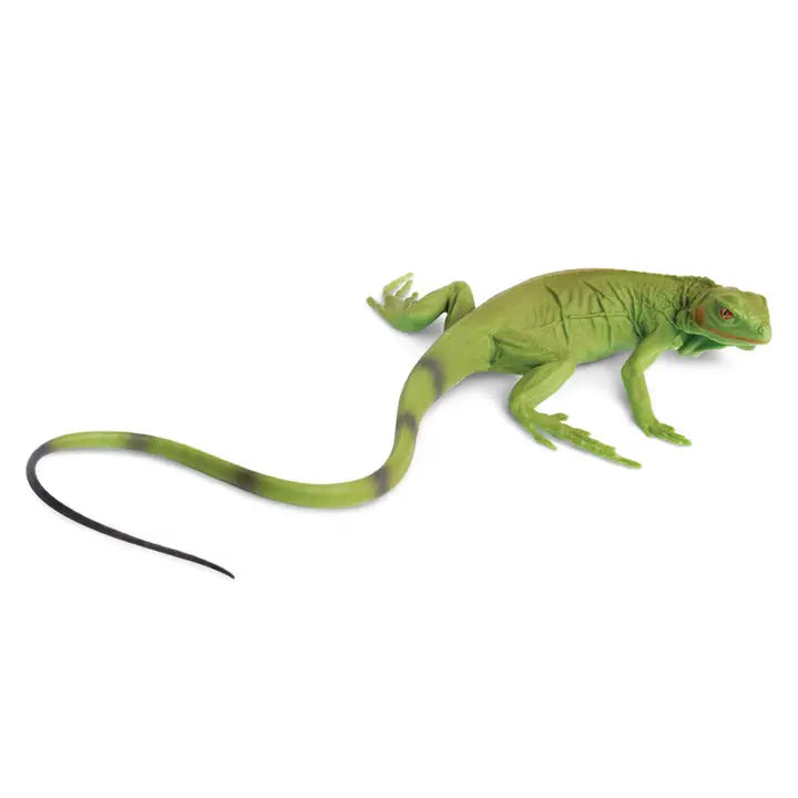 Iguana Baby is a lifelike green toy iguana featuring intricate scale details and a long tail, displayed against a white background.