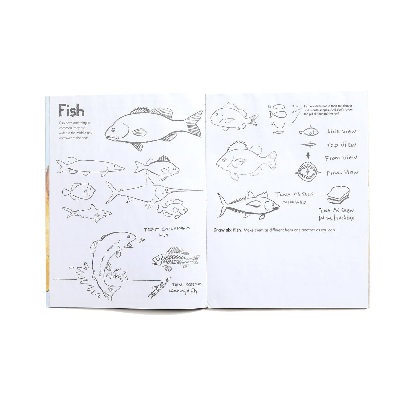 The Learn to Draw Animals Art Book by Kevin Hawkes features step-by-step pencil sketches of fish from various angles, including a jumping fish catching a fly, with clear instructions and labels on each page.