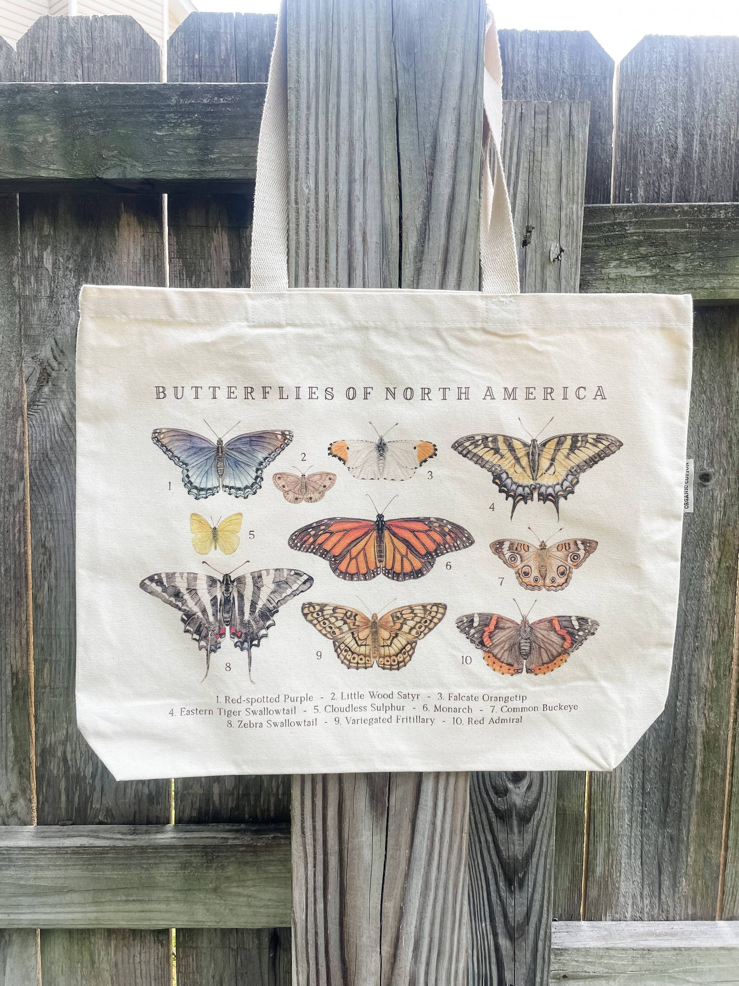 Feed & Dwell - Butterflies of North America Large Organic Cotton Tote Bag