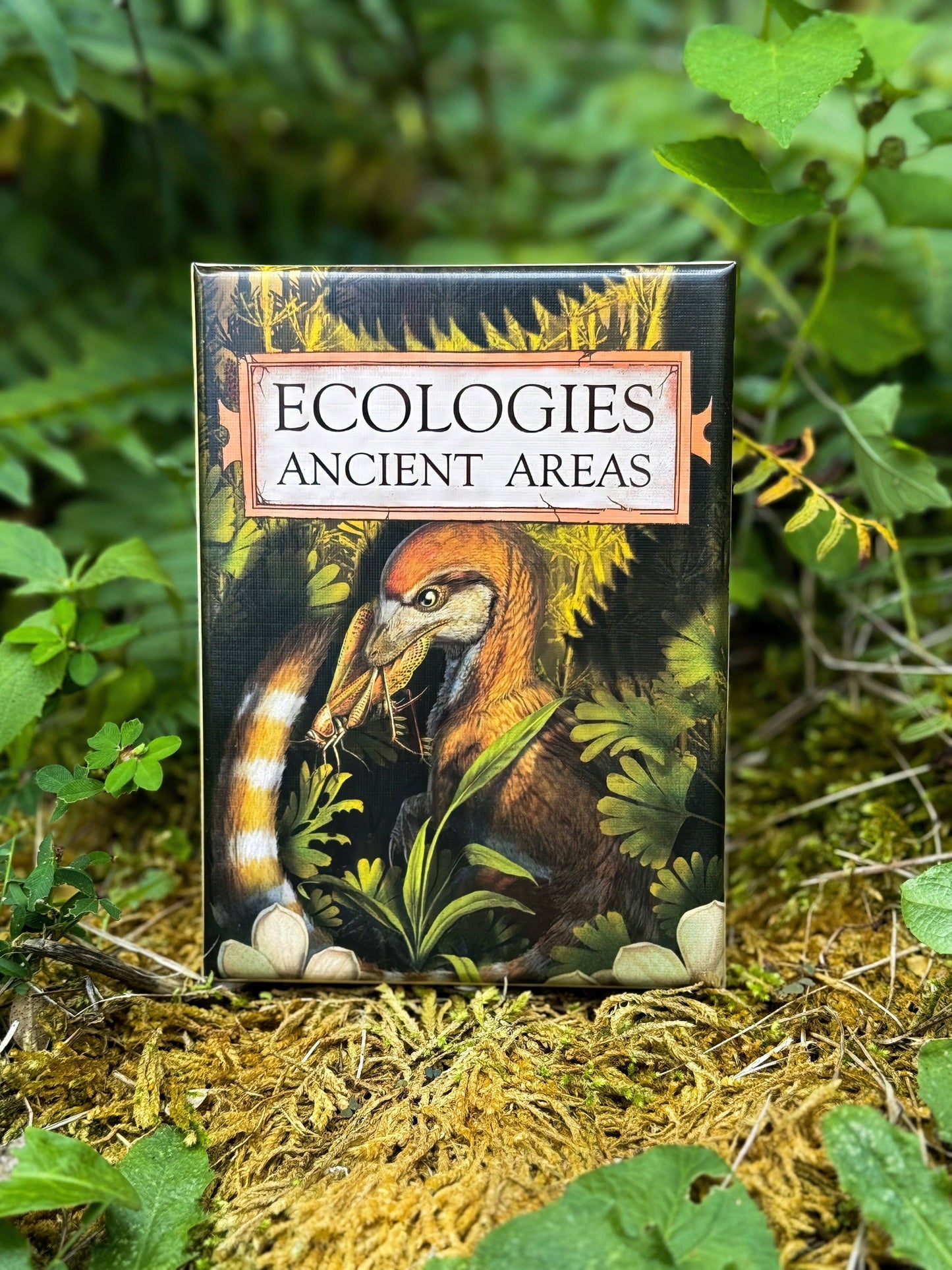 The game box for Ecologies: Ancient Areas showcases a prehistoric bird illustration amid lush, green foliage and mossy ground, surrounded by plants, immersing players in extinct ecosystems through this scientific board game.
