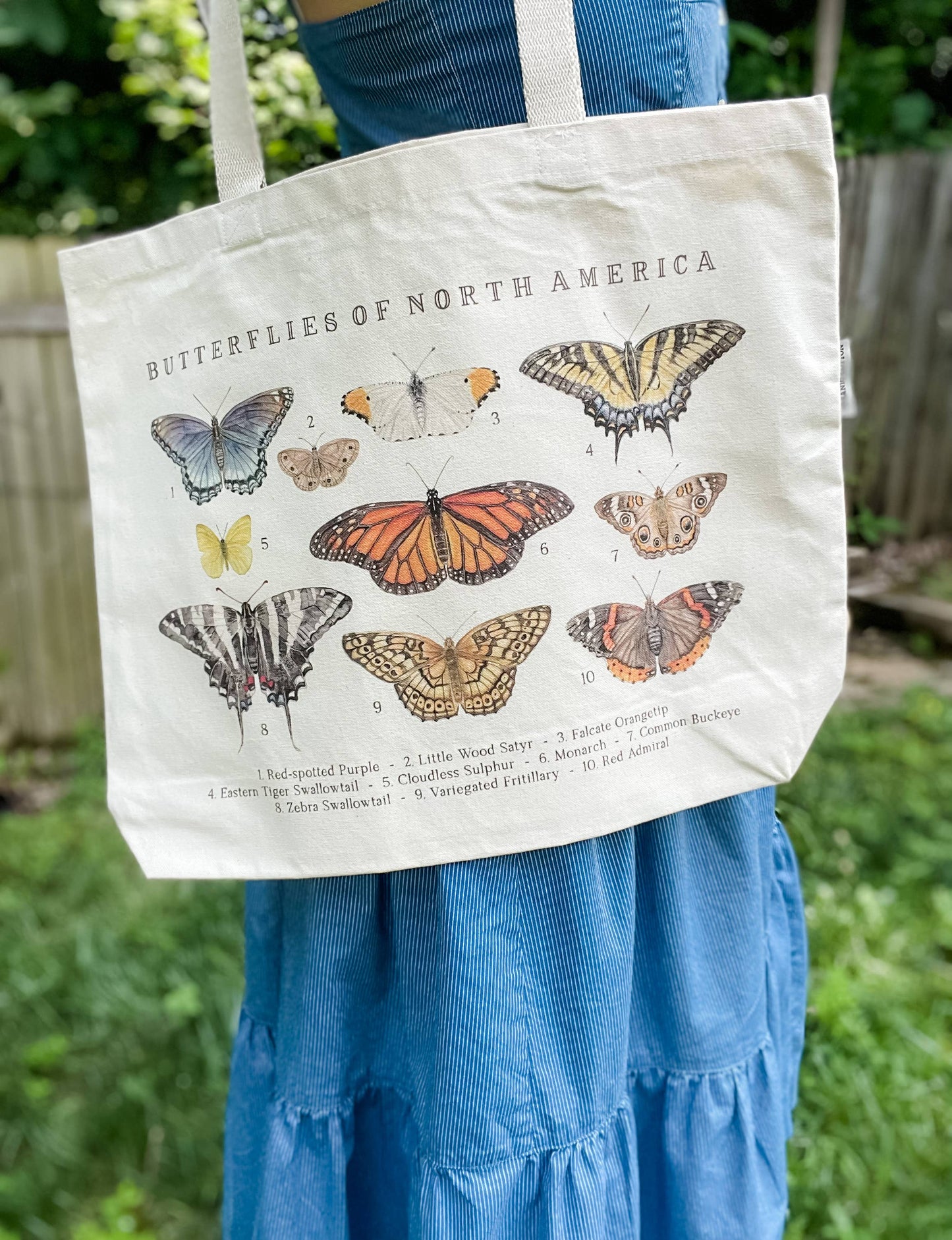 A person in a blue dress holds the Butterflies of North America Large Organic Cotton Tote Bag by Feed & Dwell, featuring watercolor butterflies with each species labeled by number and name.