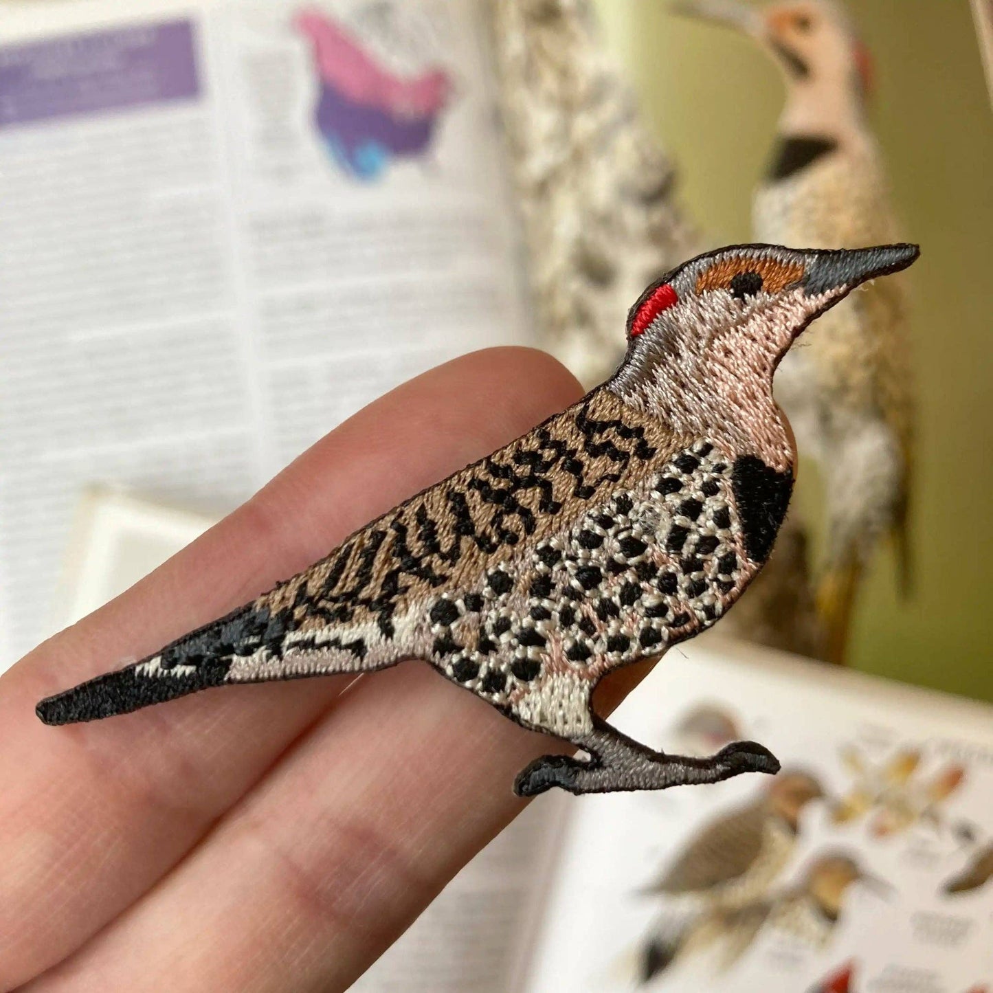 Northern Flicker Patch