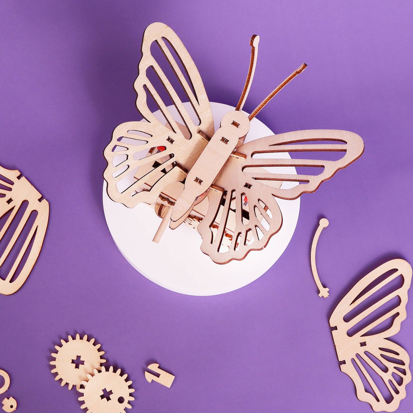 Fluttering Butterfly DIY Kit