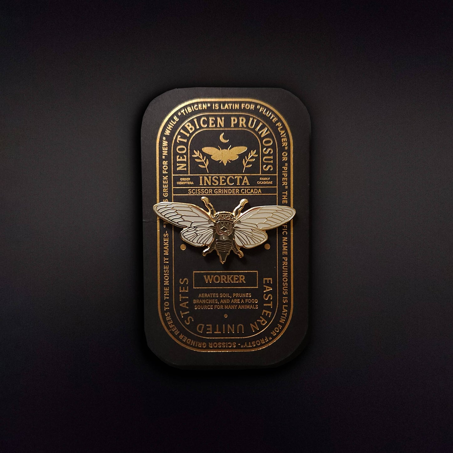A detailed hard enamel pin of a Scissor Grinder Cicada is presented on a dark, ornate card labeled โNeotibicen pruinosus,โ โworker,โ and โUnited States,โ featuring gold botanical and scientific text accents on a black backgroundโan ideal educational entomology gift for nature enthusiasts or collectors.