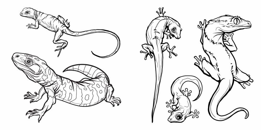 Natural History