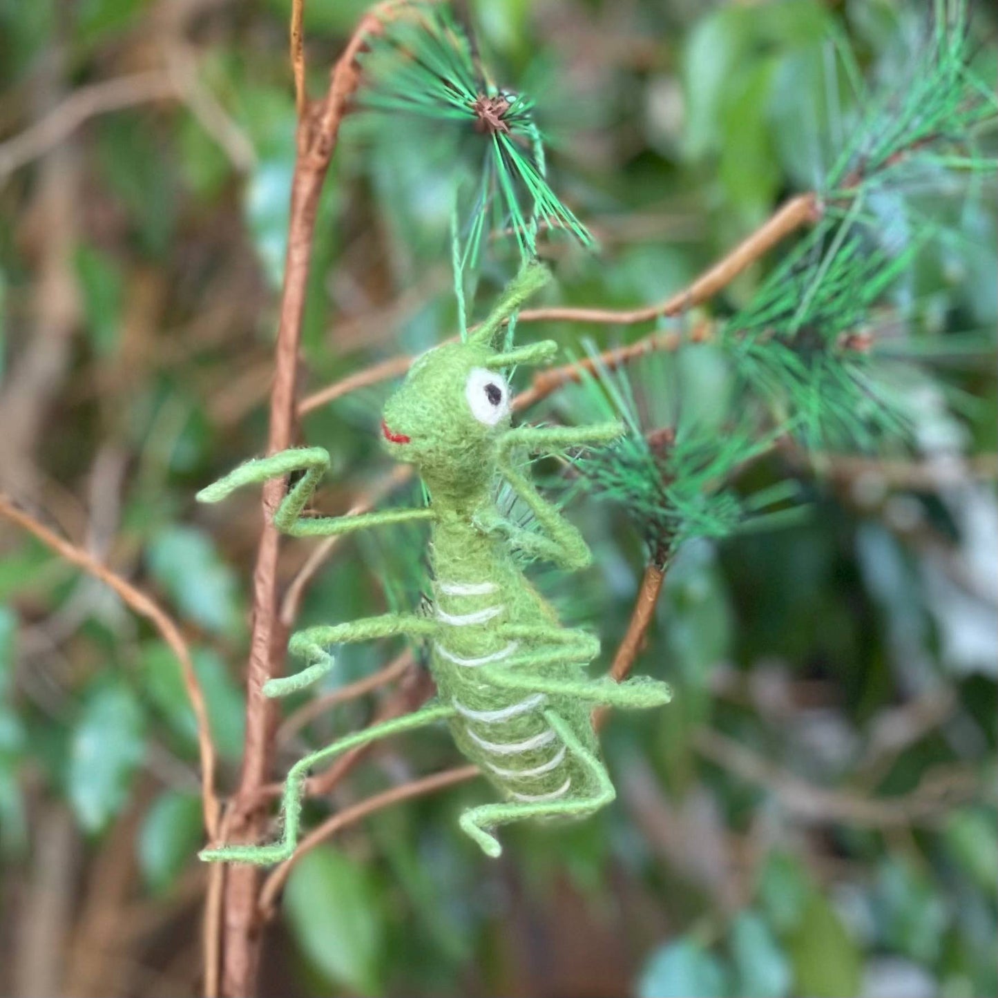 The Praying Mantis Felt Ornament is a green, needle-felted wool insect with white details, hanging from a branch with needles—an enchanting handmade decoration ideal for any garden center gift shop.