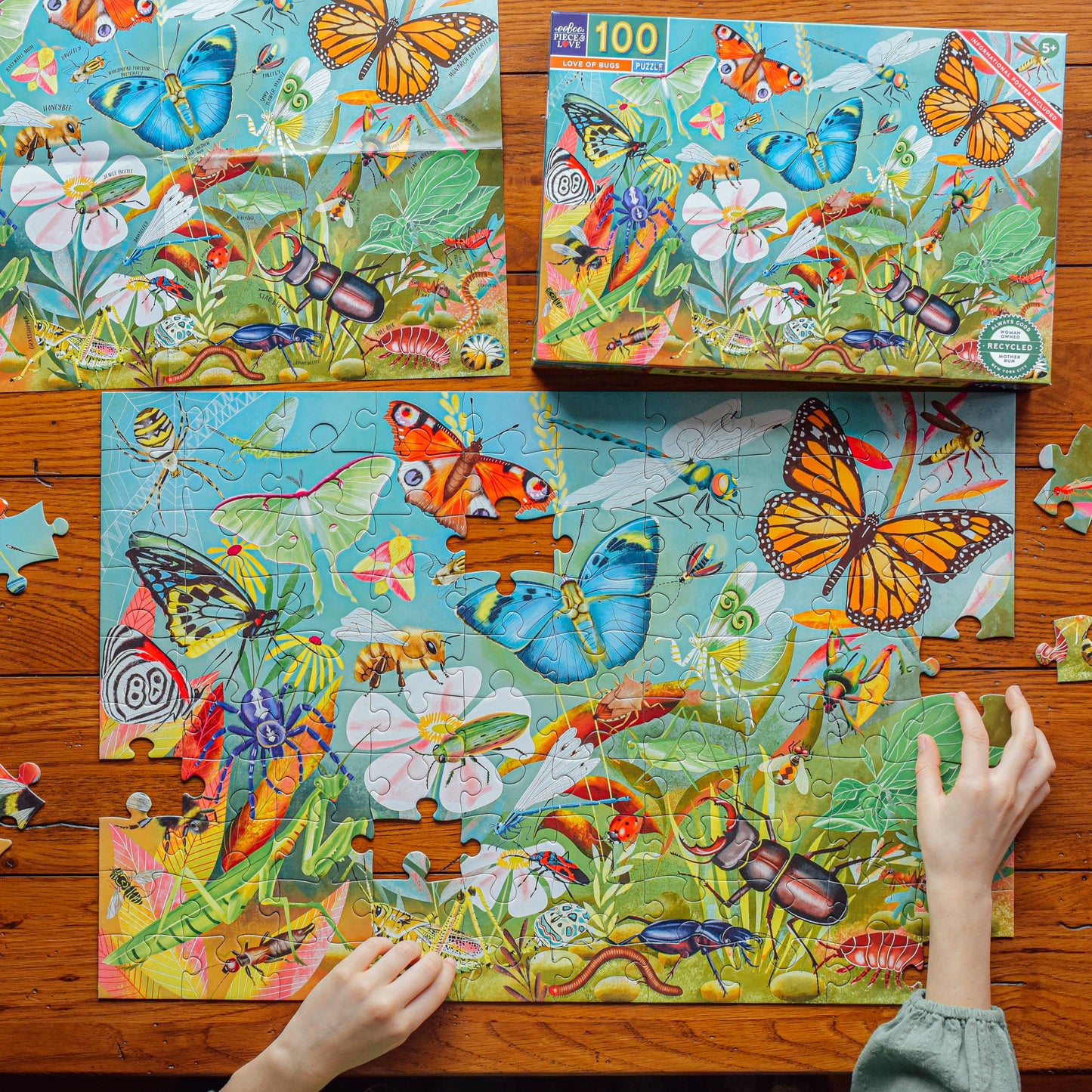 A child assembles the Love of Bugs 100 Piece Puzzle, featuring colorful bugs, insects, flowers, and grass on a wooden table. The completed box appears above this delightful educational jigsaw puzzle.