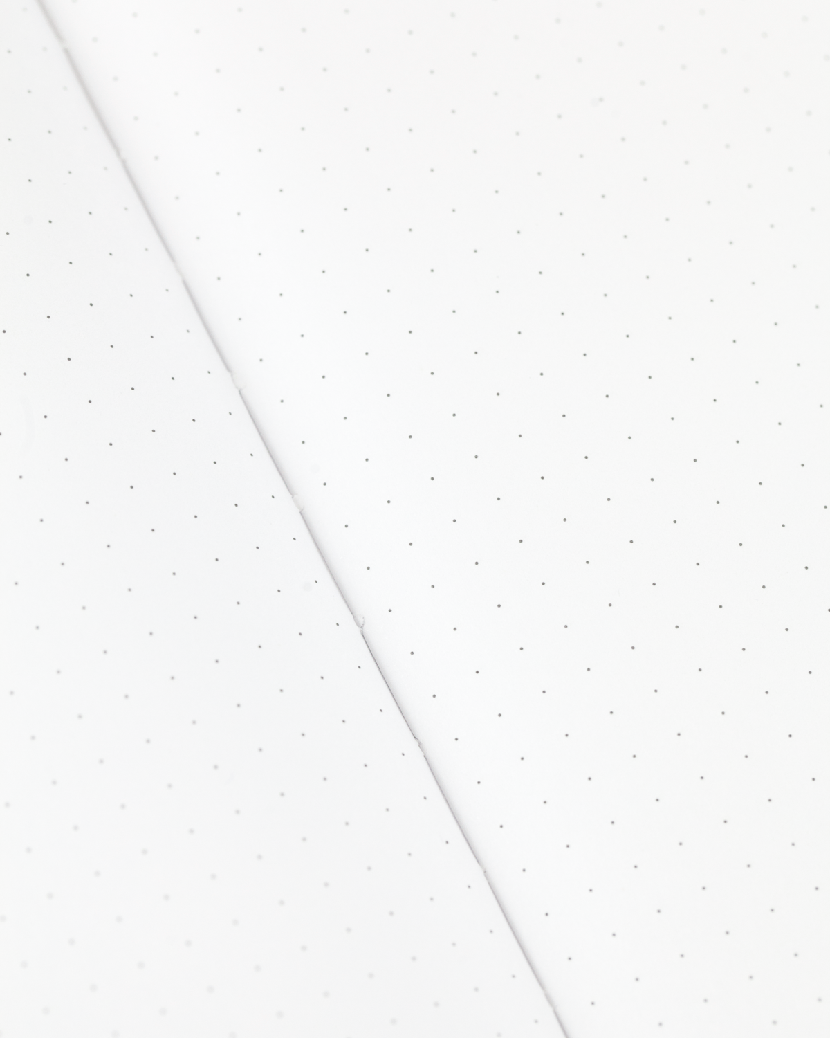 Eggs Hardcover - Dot Grid Page Notebook