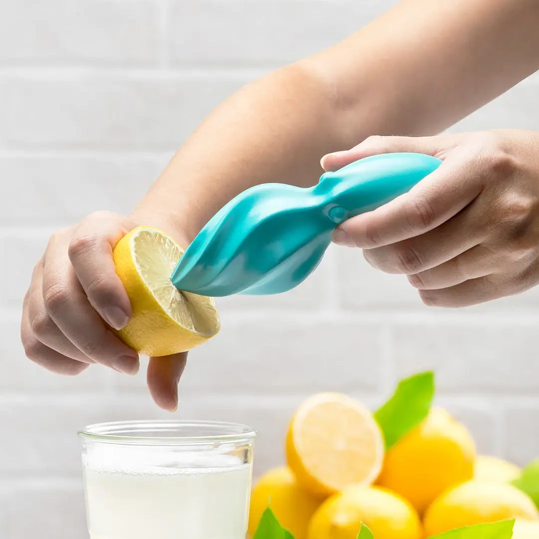 Octo Citrus Reamer