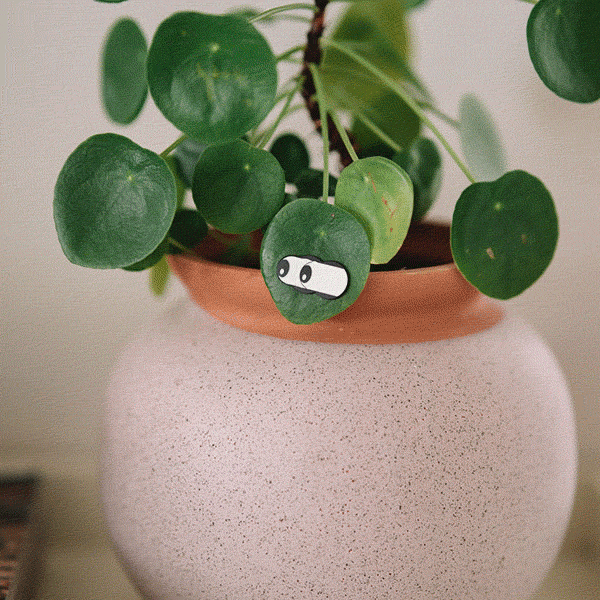 Glow Eyes 4-pack - Plant Magnet