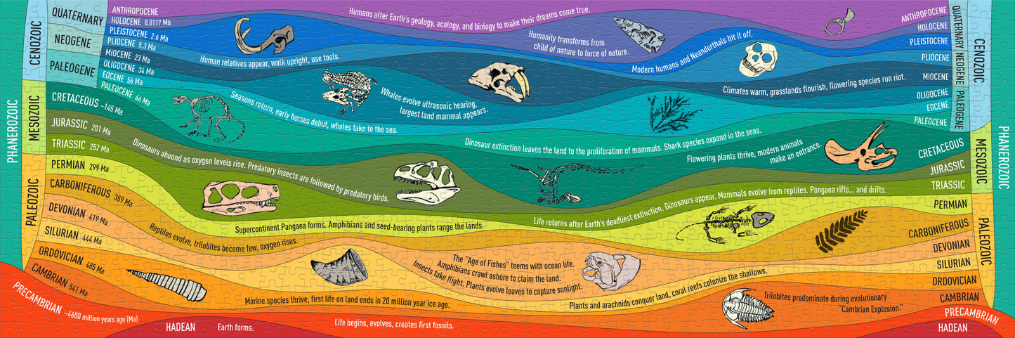 Geological Time Puzzle