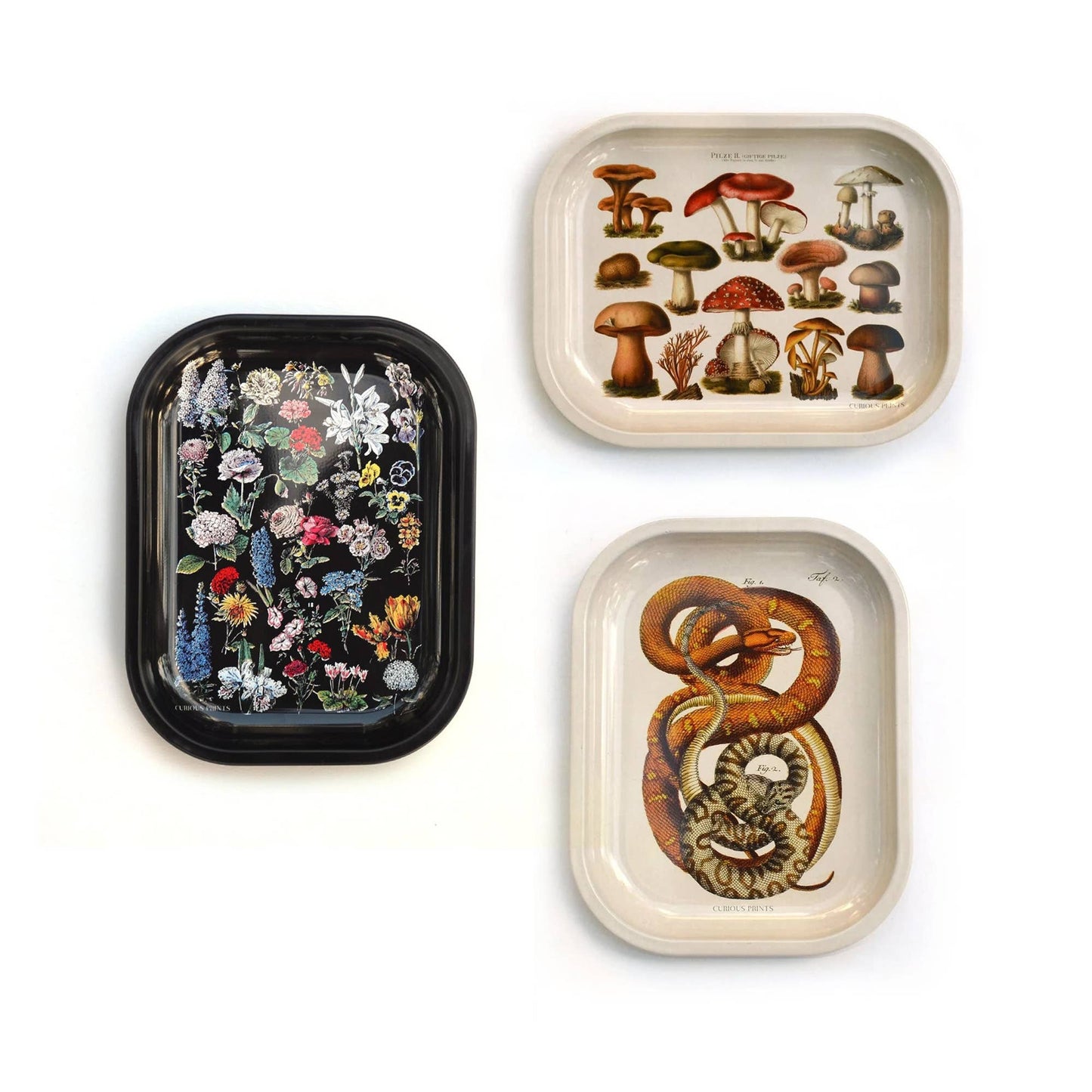 Small Metal Dark Gemstones Crystals Catchall Tray / Geology