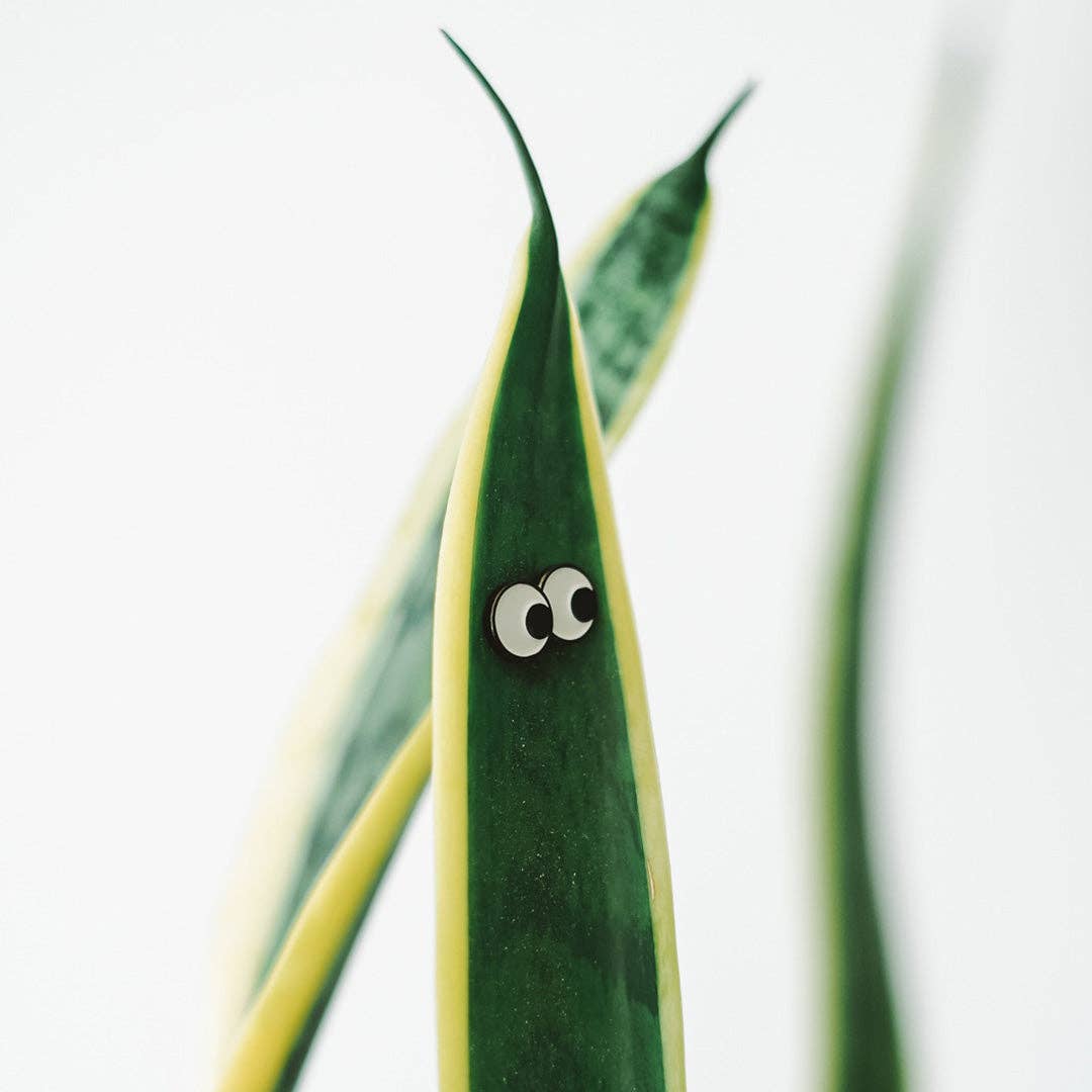 Googly 4-Pack - Plant Magnet