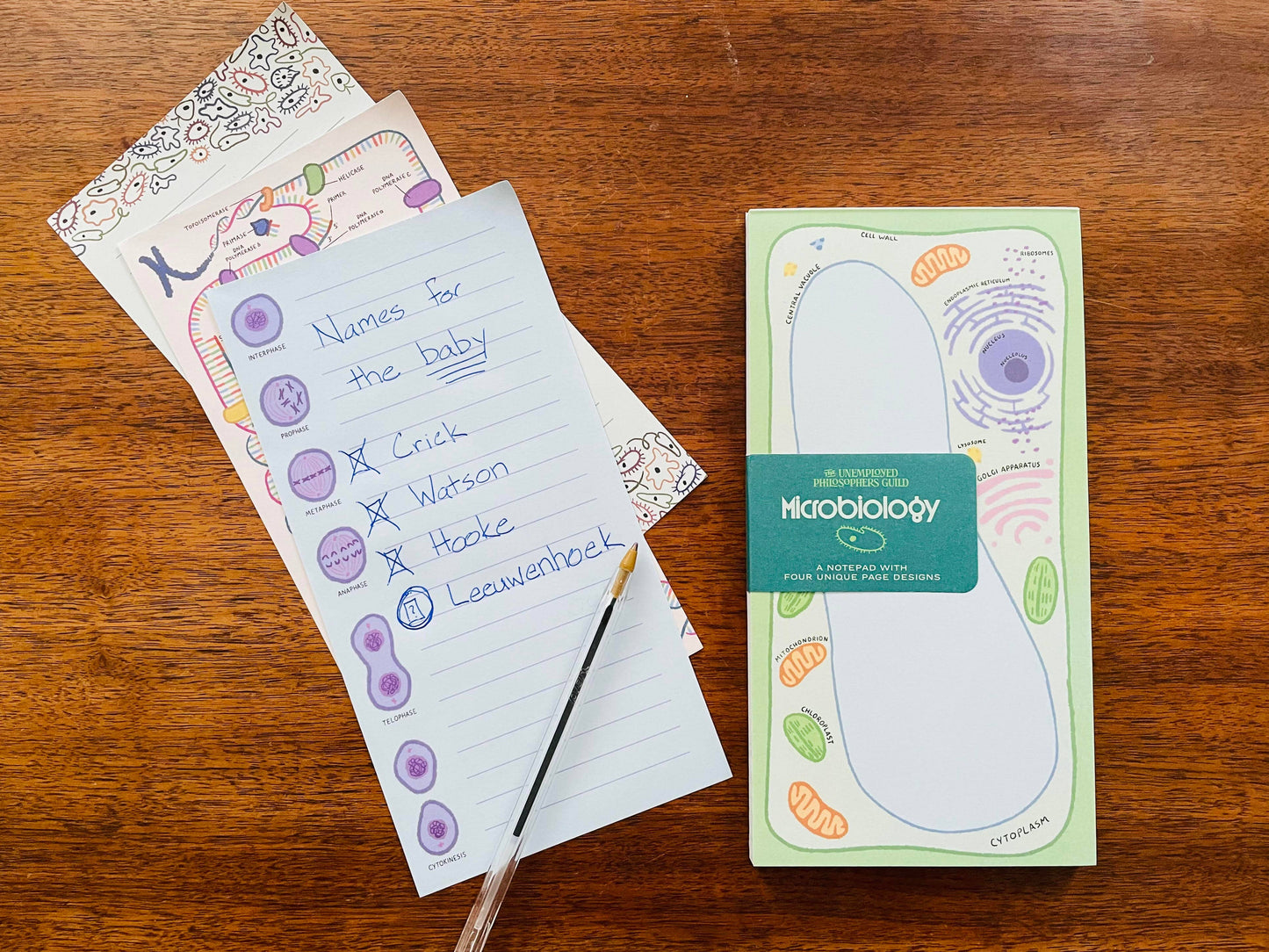 The Microbiology Notepad sits on a wooden table, featuring “Names for the baby,” lists of scientists, unique microbiology-themed pages, and colorful cell illustrations with tiny creatures.