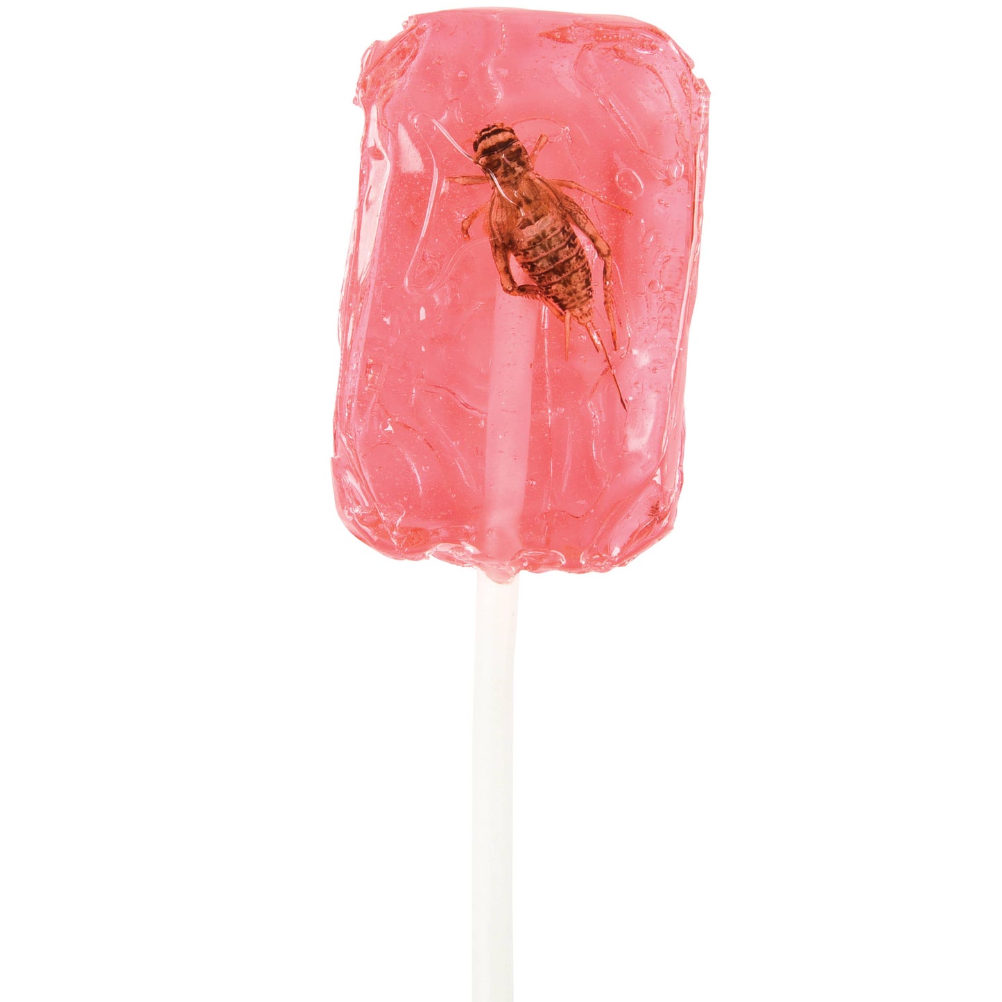Hotlix Cricket Suckers