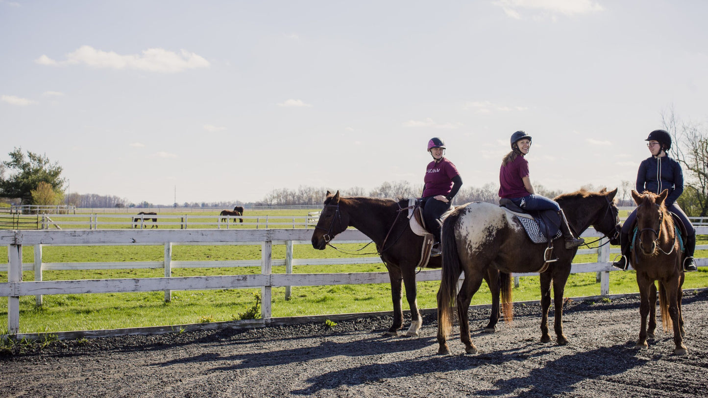 Three riders in helmets and maroon shirts enjoy Riding Lessons (1.5 Hour, Group) as they ride horses along a white fence in a sunny, grassy paddock with more horses grazing nearby under a clear sky.