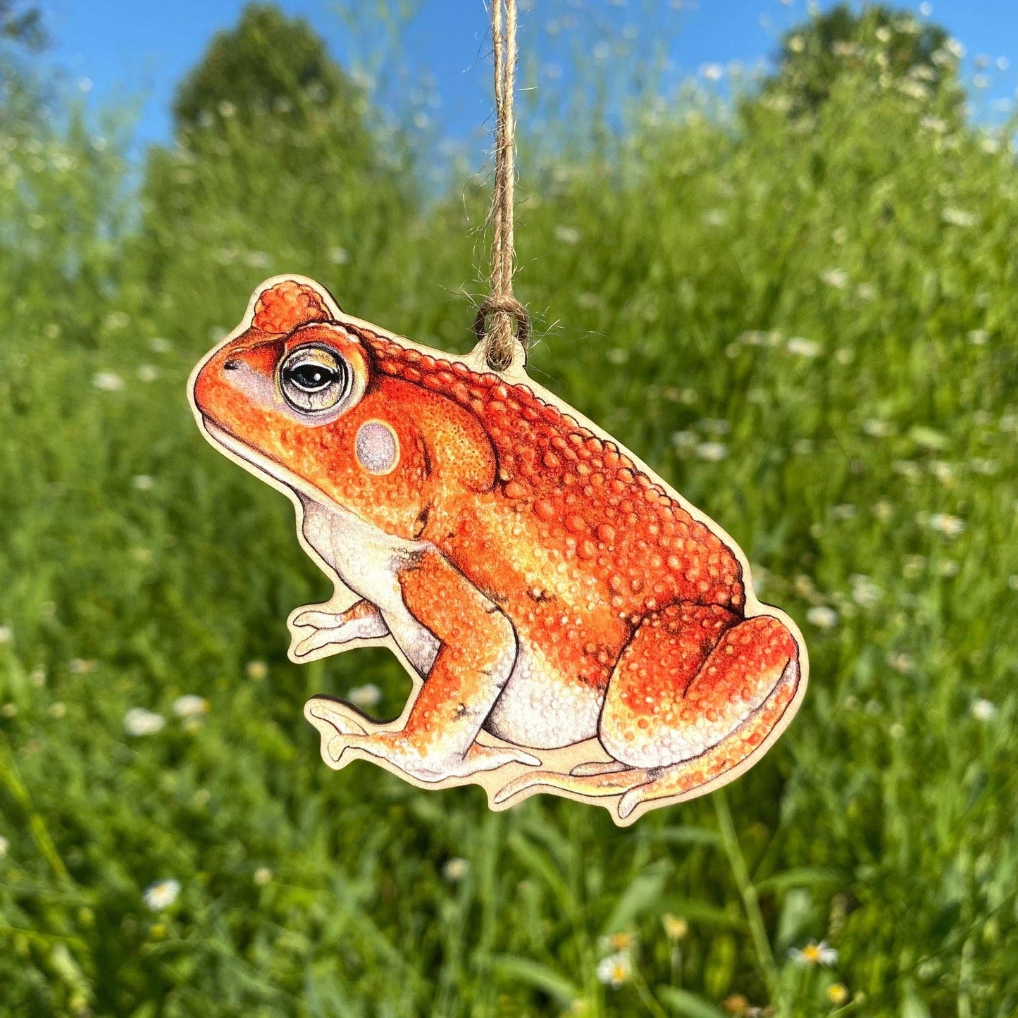 American Toad Wood Print Ornament