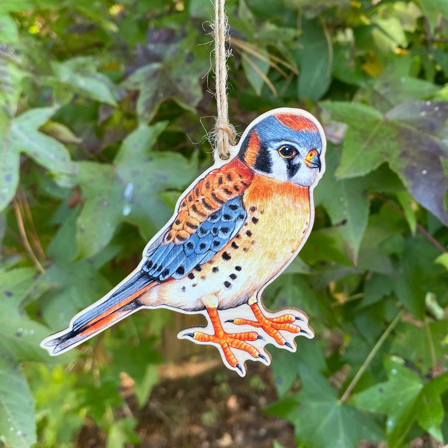 American Kestrel Wood Print Ornament