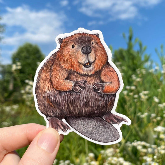 American Beaver Weatherproof Vinyl Sticker