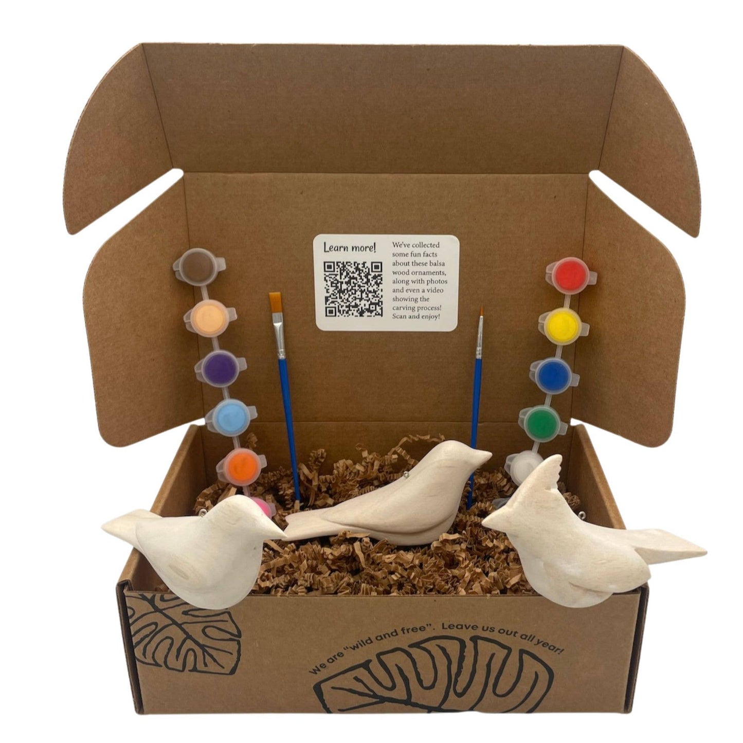 Paint Your Own Backyard Bird Ornament Kit