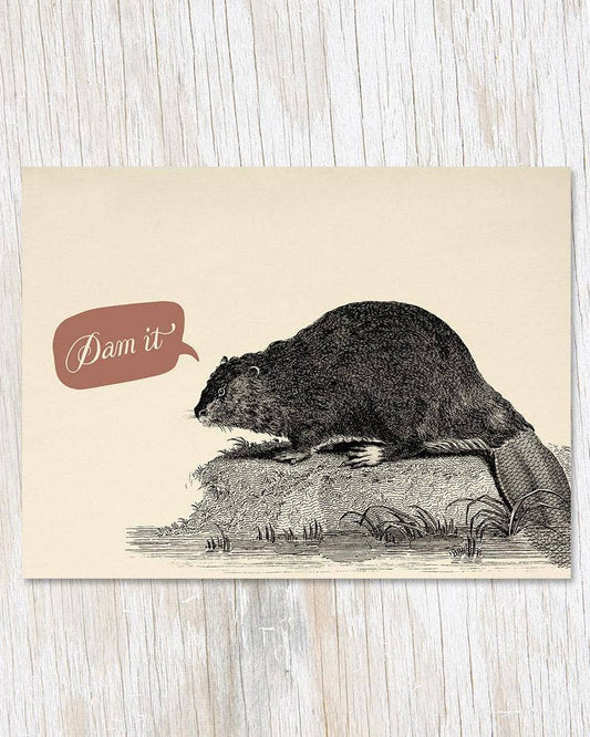 Beaver Dam Card