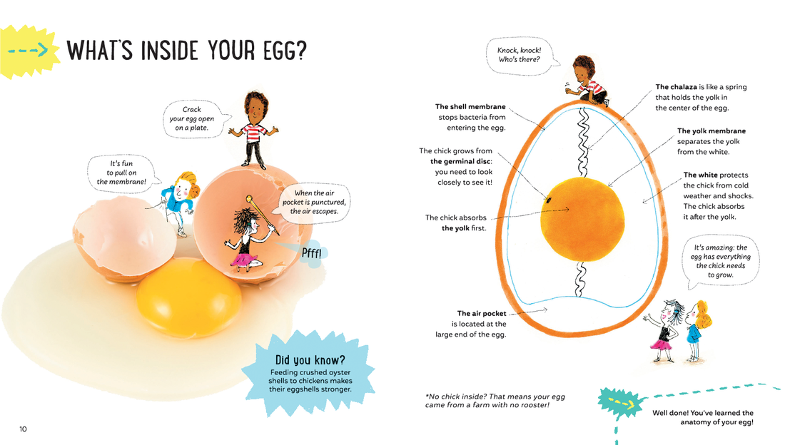 There's Science in Eggs