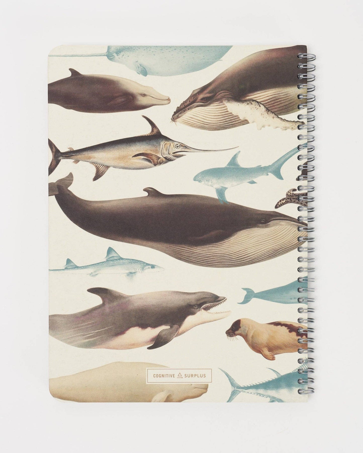 The back of a spiral-bound notebook with illustrations of various aquatic megafauna including whales