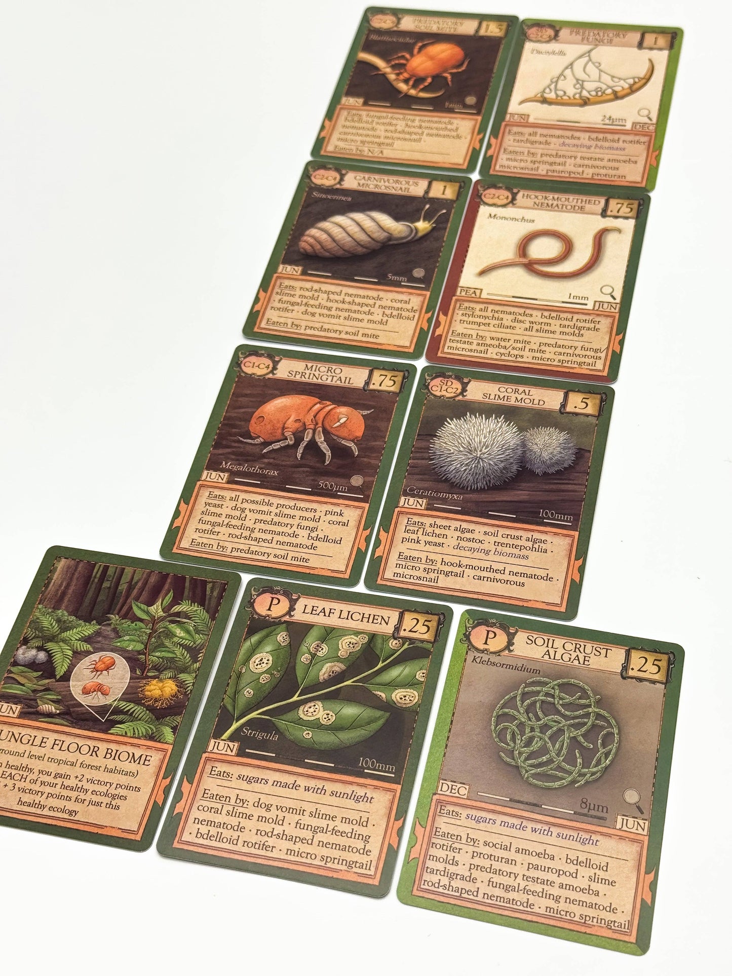 Ten illustrated trading cards from Ecologies: Marvelous Microbes, each highlighting fungi, insects, and microorganisms, are arranged in a loose grid on a white surface. Every card features scientific artwork with descriptive text and detailed illustrations, offering an engaging way to explore biology board game concepts or uncover the fascinating relationships within microscopic food webs.