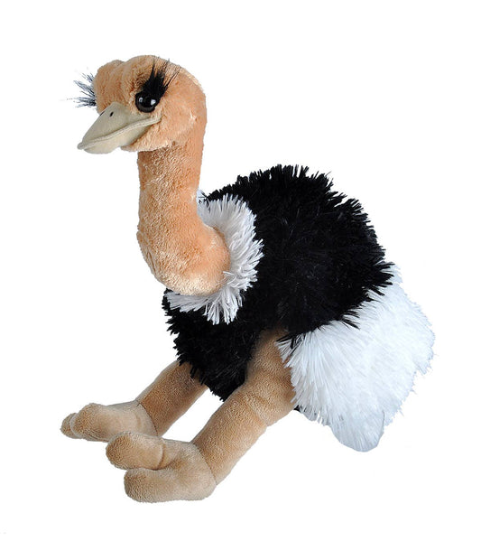 A plush companion, the CK Ostrich Stuffed Animal - 12" by Wild Republic features a long neck, tan legs, and a body covered in fluffy black and white fur. This charming toy sits upright with large eyes and long eyelashes, making it an adorable addition to any collection.