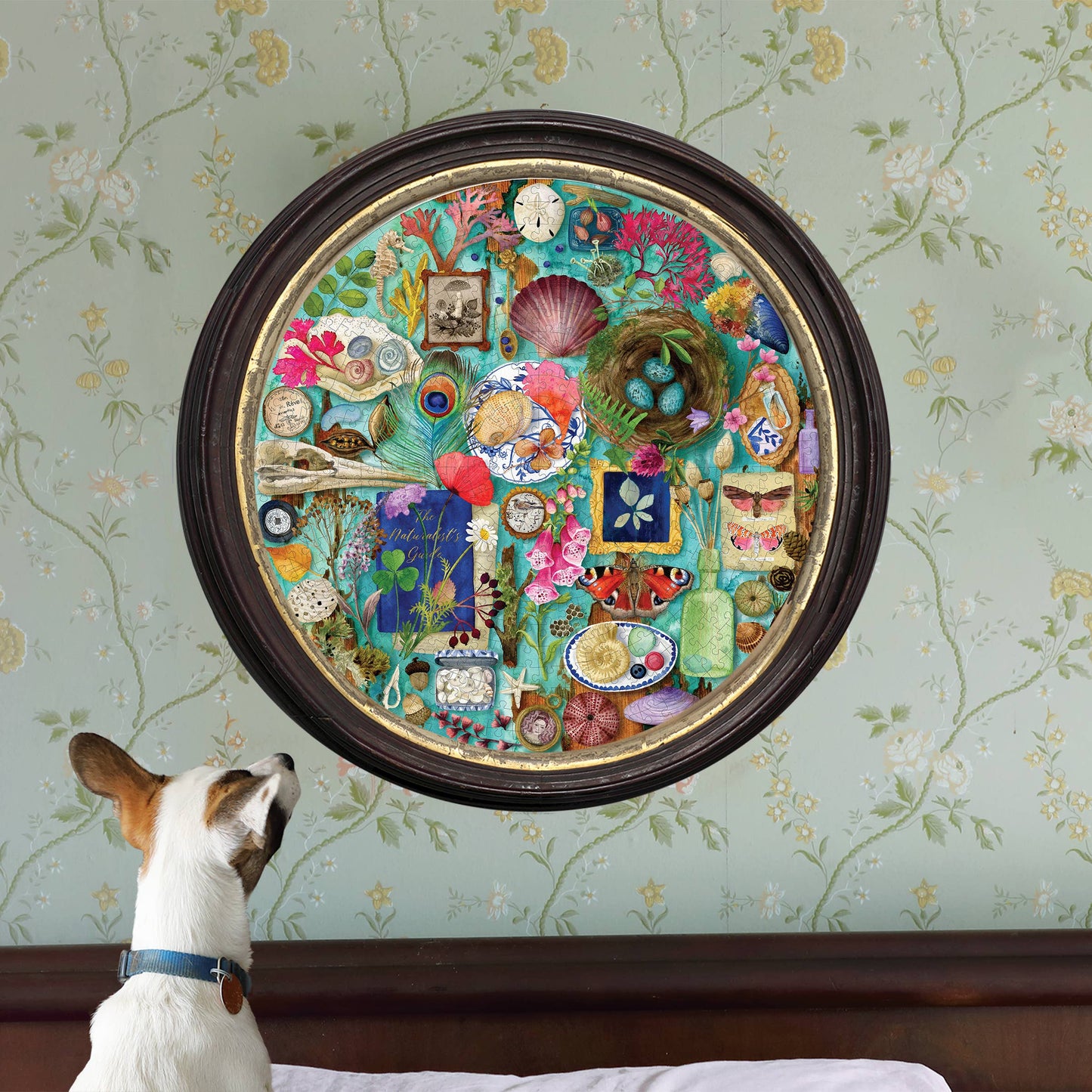 Collecting Nature 500 Piece Round Puzzle