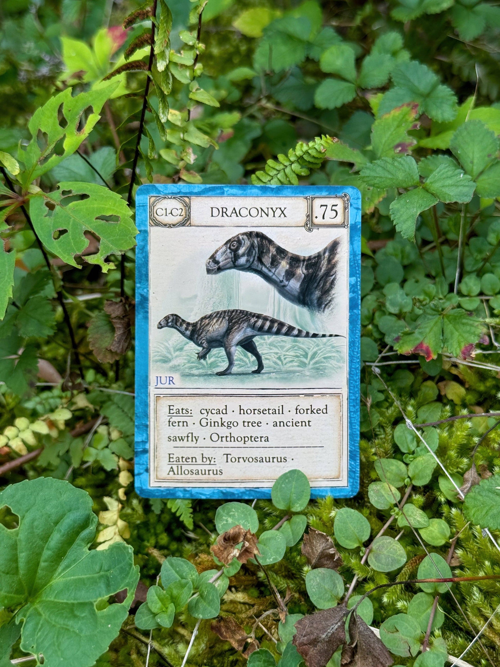 An Ecologies: Ancient Areas trading card featuring Draconynx rests on green foliage. The card displays two dinosaur illustrations, a description of the species, information about its diet, and a note about its predators. As part of the Ancient Food Web game exploring extinct ecosystems, the card has a blue border and shows signs of gentle wear.