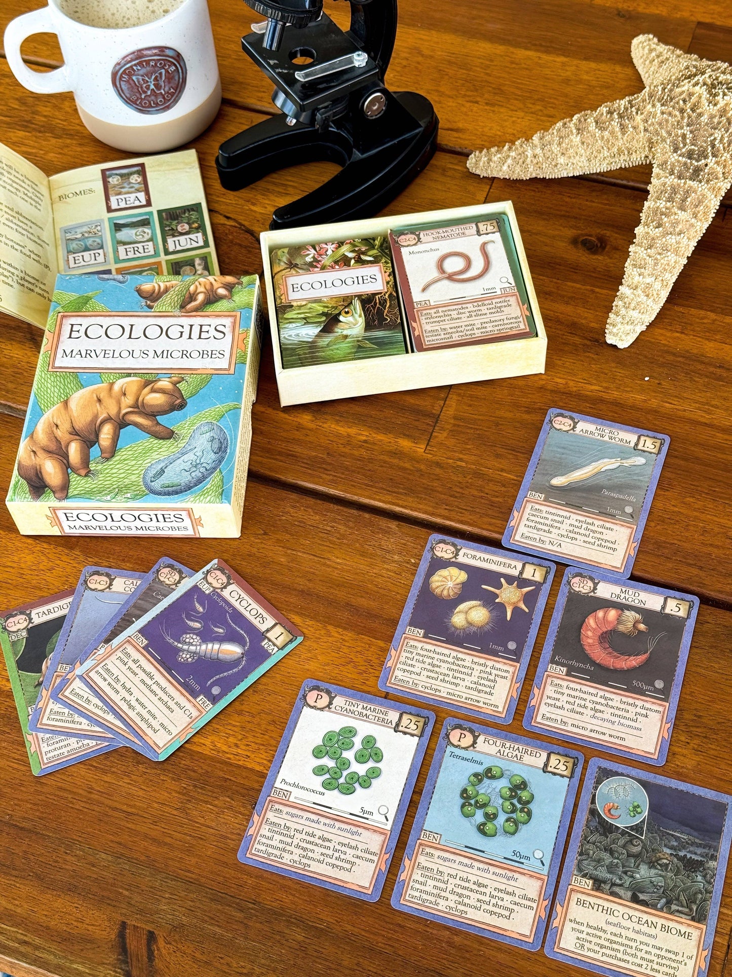Ecologies: Marvelous Microbes, a scientific card game, is arranged for play on a wooden table with cards, a rulebook, a starfish, a coffee mug, and a metal desk tool. In this engaging biology game, players compete to build thriving ecosystems while exploring microscopic food webs.