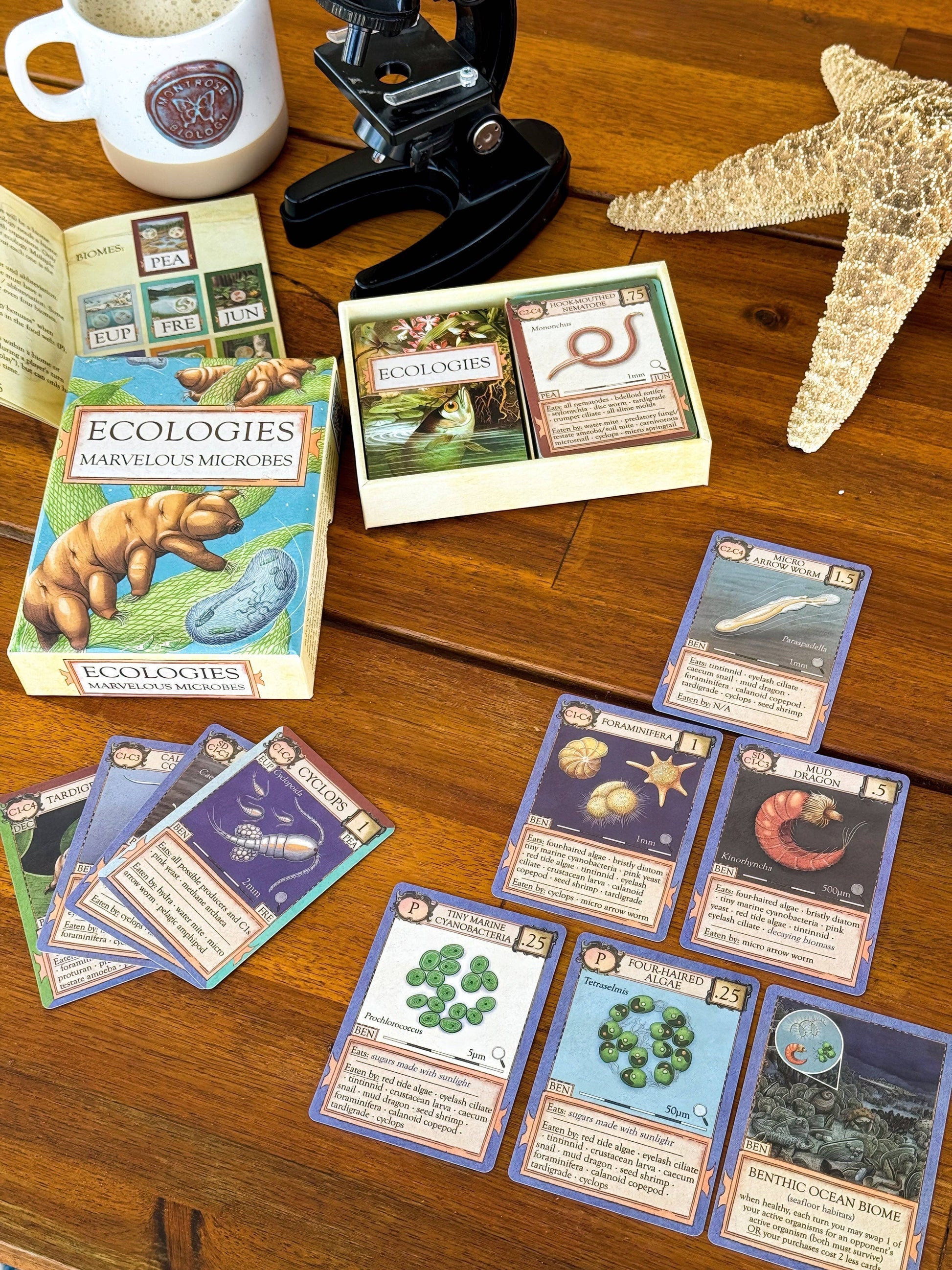 Ecologies: Marvelous Microbes, a scientific card game, is arranged for play on a wooden table with cards, a rulebook, a starfish, a coffee mug, and a metal desk tool. In this engaging biology game, players compete to build thriving ecosystems while exploring microscopic food webs.