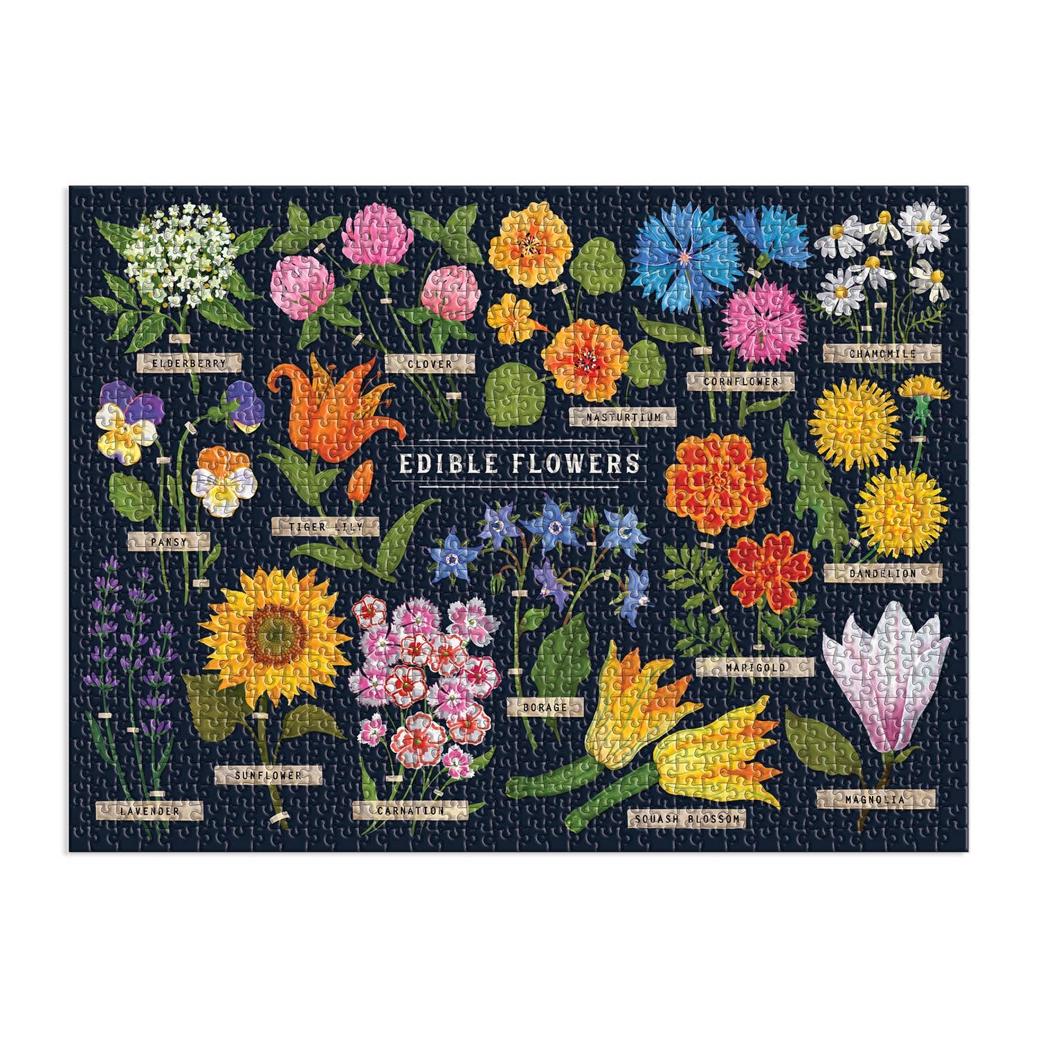 The Edible Flowers 1000 Piece Puzzle features a vibrant illustrated chart of edible flower types with names on a dark background—a stunning jigsaw for flower enthusiasts.