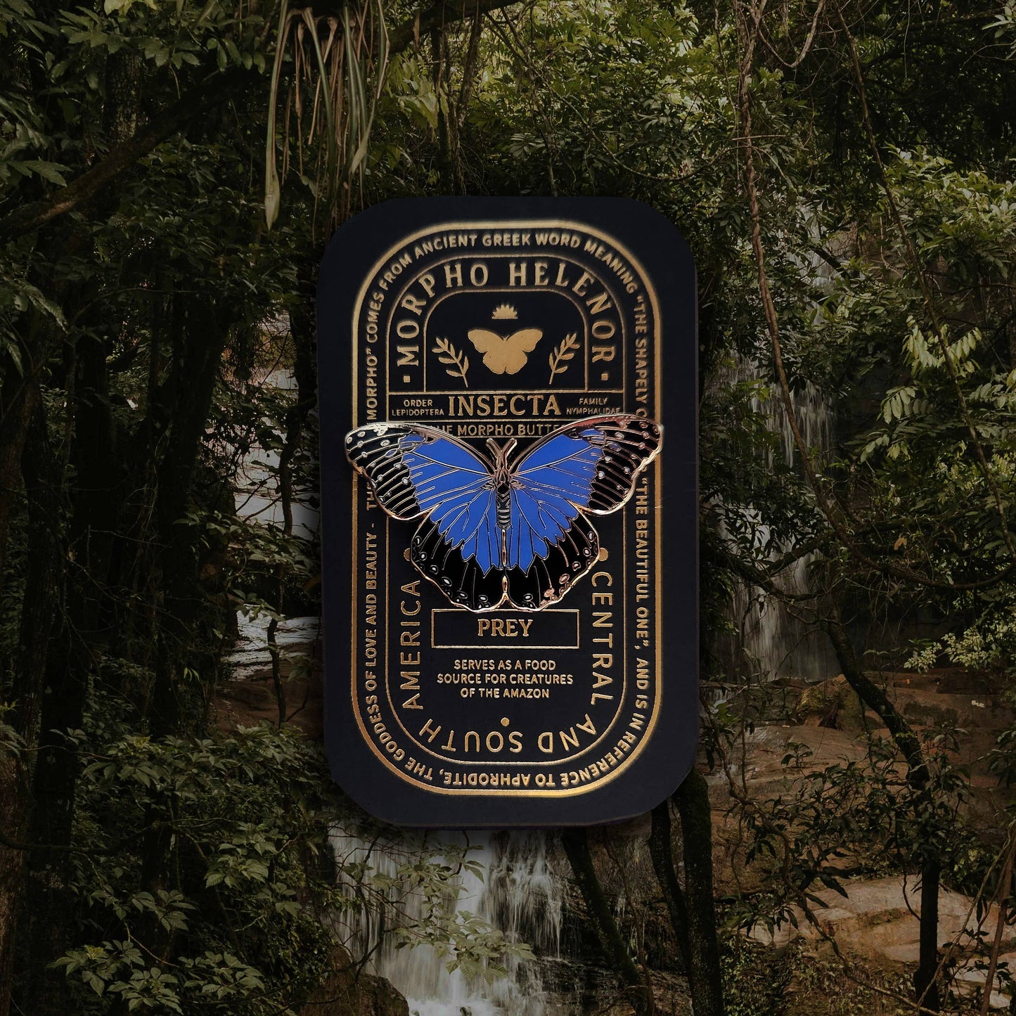 A Blue Morpho Butterfly Educational Insect Enamel Pin display case with gold text is pictured hanging in a vibrant green forest with a waterfall cascading in the background, making it an ideal nature-themed gift for butterfly enthusiasts.