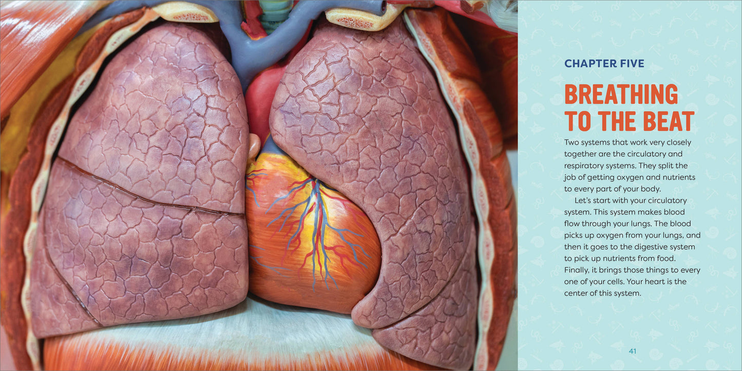 Human Anatomy for Kids