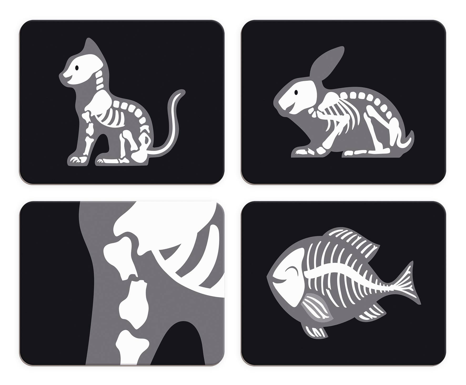 Four simple animal skeleton illustrations (cat, rabbit, bones/ribcage, fish) on black backgrounds—perfect as an imitation toy for the Pretend Play Occupational Toy | Vet set | 15 accessories or any pet care play set.