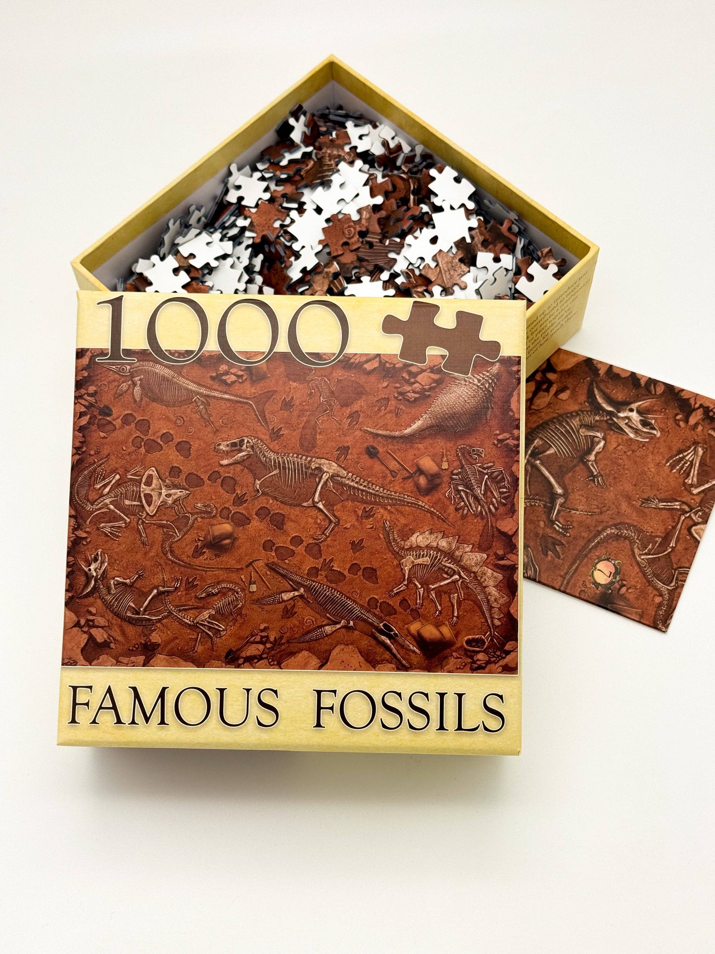 "Famous Fossils" Paleontology Puzzle
