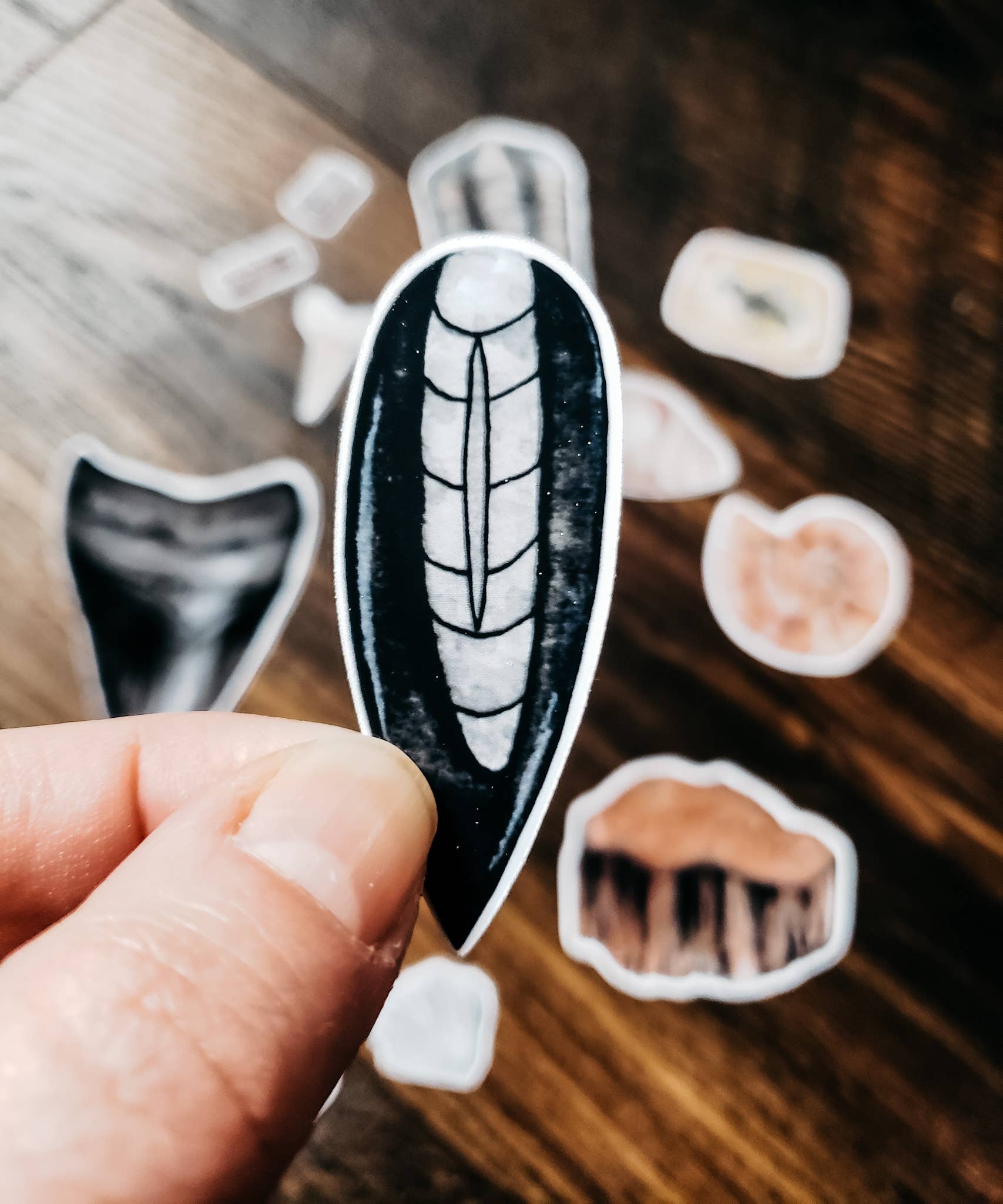 Hand holding a black and white fossil sticker with other similar stickers on a surface behind it.