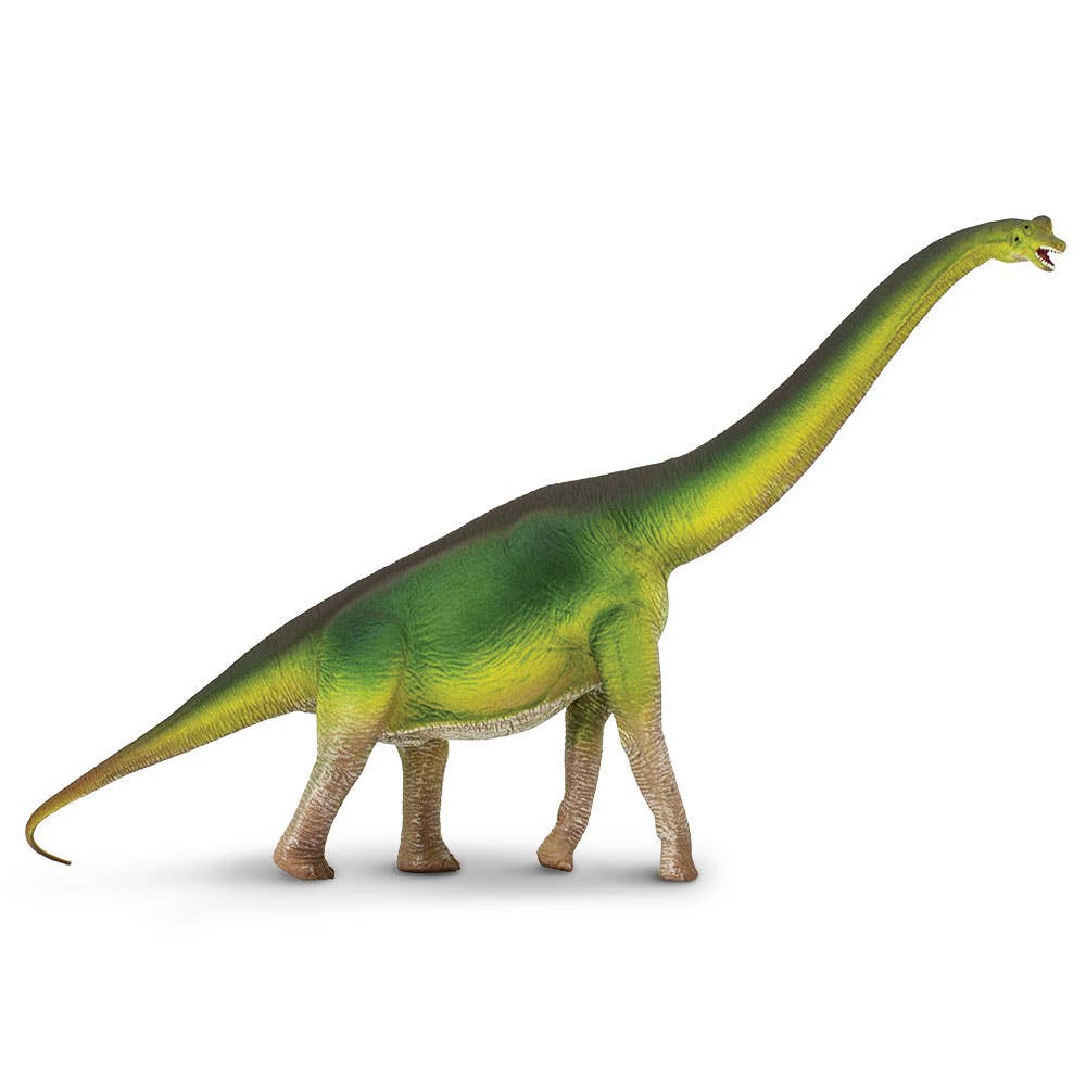 A Brachiosaurus toy model featuring a green and yellow color scheme, depicting the long-necked dinosaur standing on four legs with its head raised and mouth open.