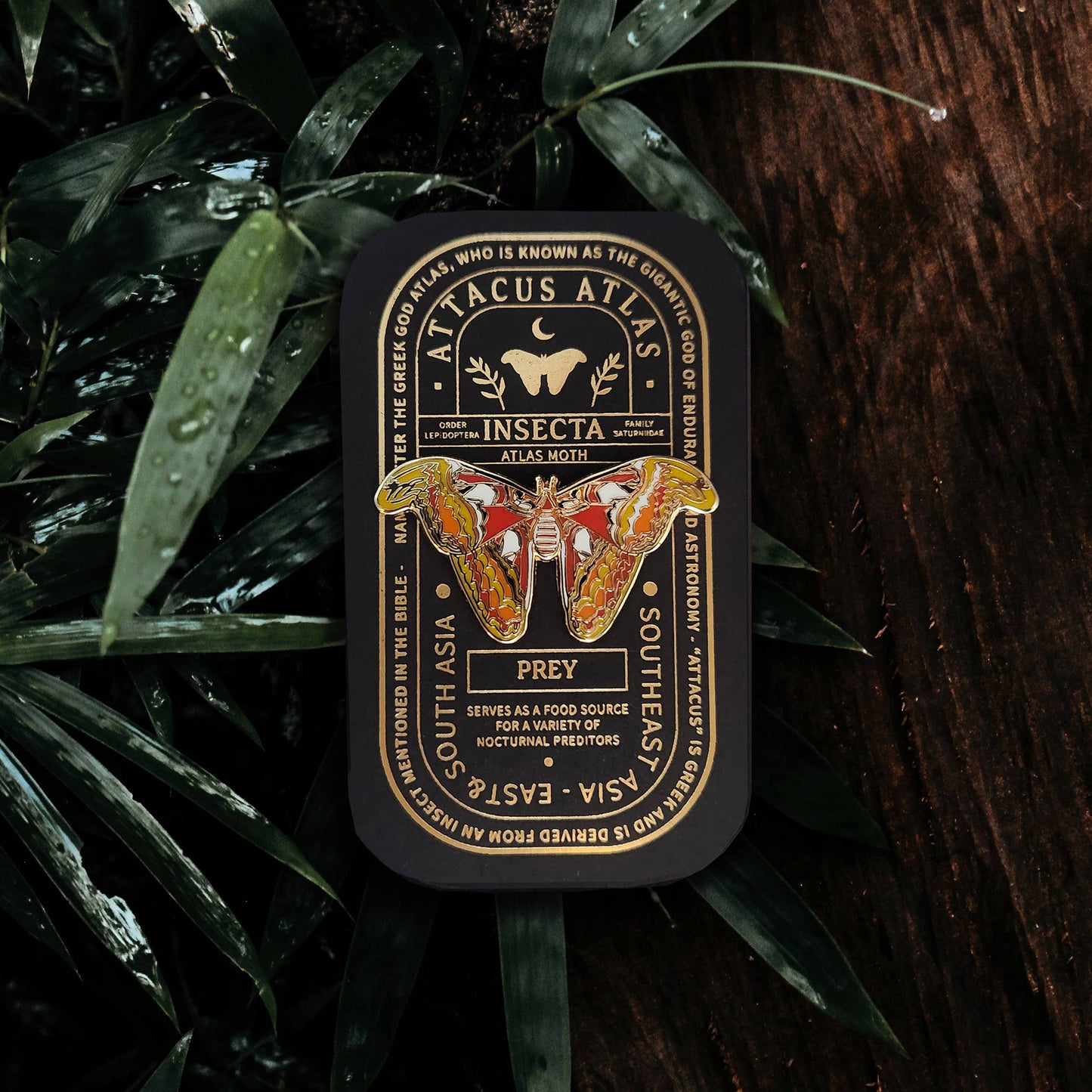 A rectangular tin labeled “Atlas Moth Educational Insect Enamel Pin” features an illustration of an atlas moth resting on lush green leaves. The label references prey, food sources, and Southeast Asia—making this a perfect gift for entomology lovers and nature enthusiasts. Inside the tin, you’ll discover a beautifully crafted enamel pin that celebrates the elegance of the Atlas Moth species.