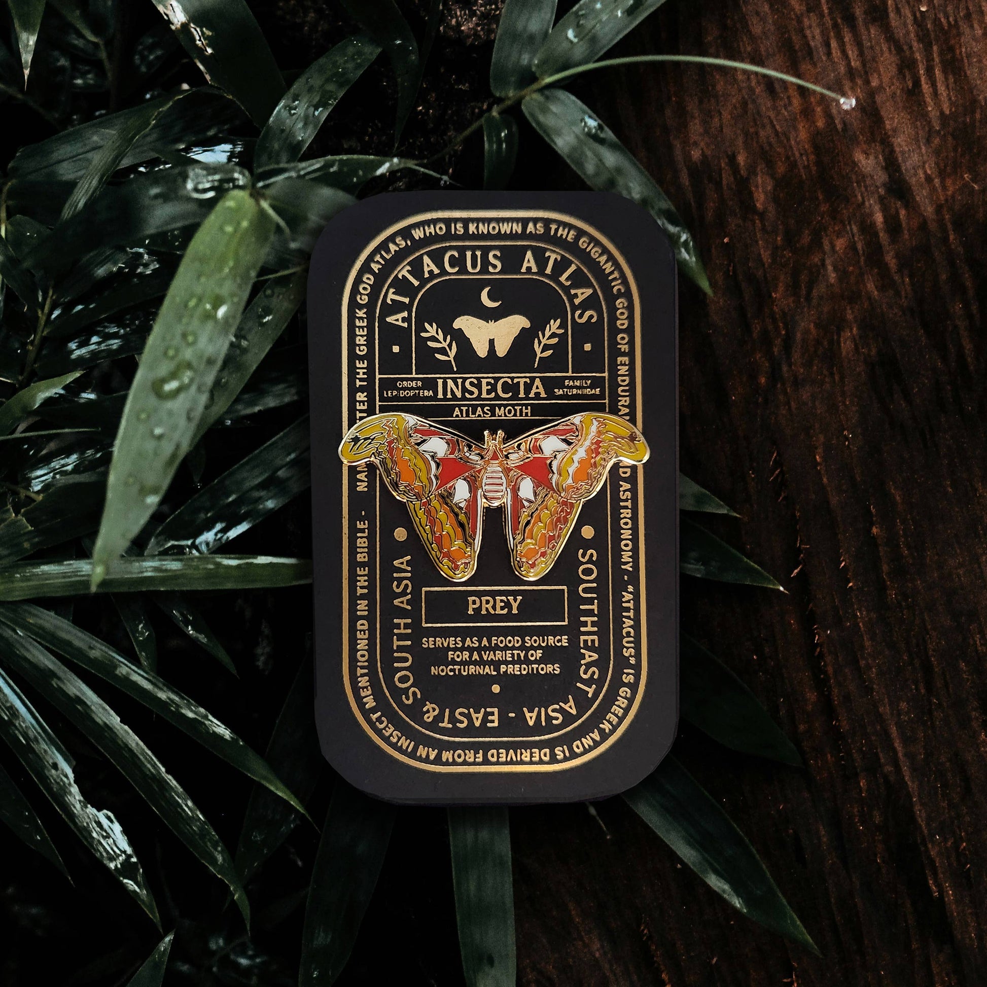 A rectangular tin labeled “Atlas Moth Educational Insect Enamel Pin” features an illustration of an atlas moth resting on lush green leaves. The label references prey, food sources, and Southeast Asia—making this a perfect gift for entomology lovers and nature enthusiasts. Inside the tin, you’ll discover a beautifully crafted enamel pin that celebrates the elegance of the Atlas Moth species.